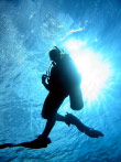 Thumbnail image for Scuba Diving and the Eustachian Tubes