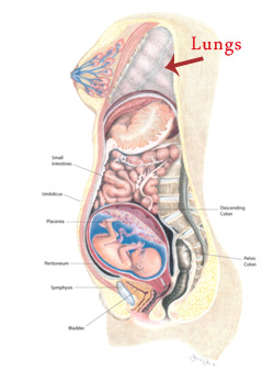 Pregnancy & Voice Changes