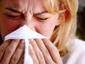 Read more about the article Doctor, I am Allergic to Dust. What Can I do?