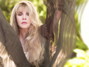 Read more about the article Can Stevie Nicks’s Septum be Fixed?: The Large Septal Perforation