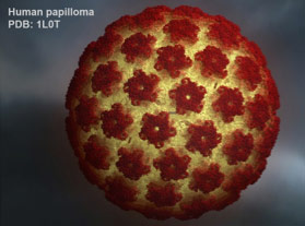 hpv throat cancer