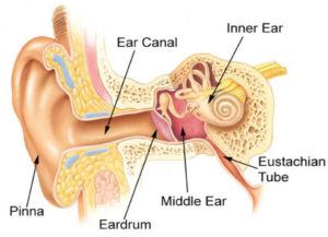 Read more about the article Does My Child Need Ear Tubes?