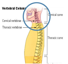 voice-surgery3